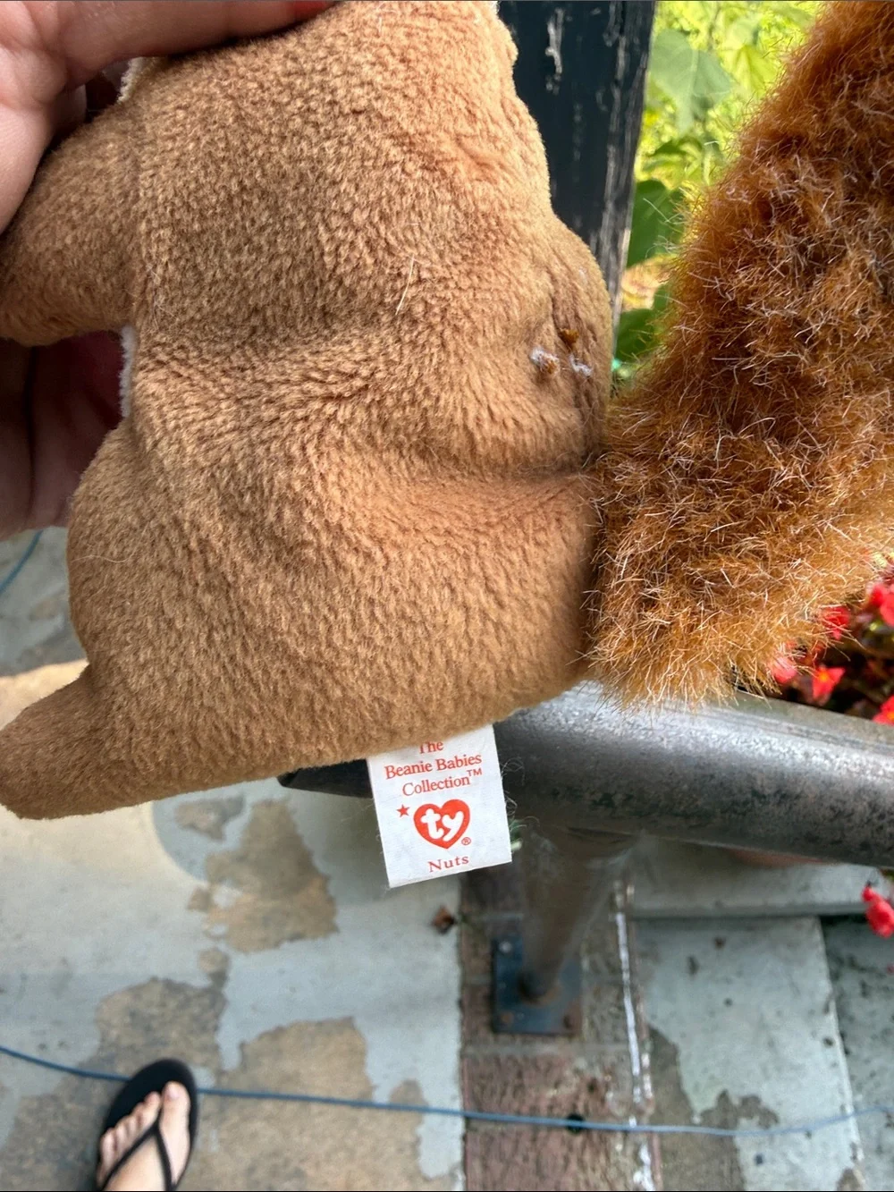 Vintage nuts the squirrel 1996 beanie baby